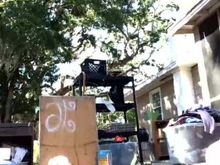 bunniandcryme 31 y. o. cam girl presents anal squirting online