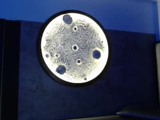 agathe_caius 19 y. o.